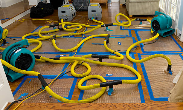 Professional Crawl Space Water Removal technician working in Bellevue, MI