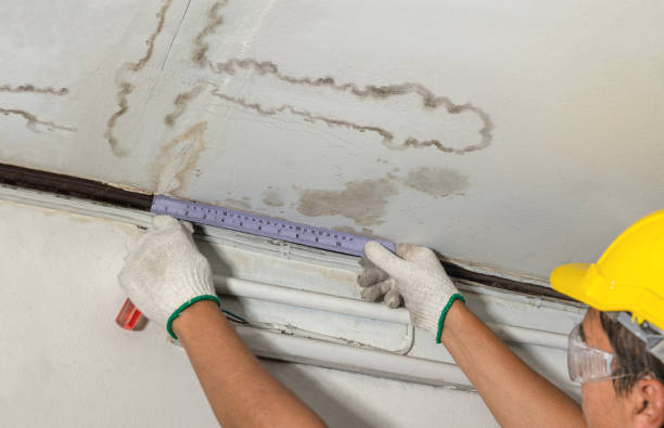 Affordable Water Damage Repair solutions in Bellevue, MI